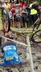 Brilliant, just brilliant