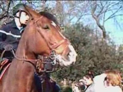 Garde républicaine Régiment cavalerie 2008