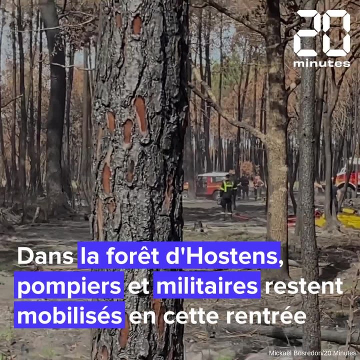 Incendies en Gironde : Des drones pour repérer les points chauds dans la forêt de cendre d'Hostens