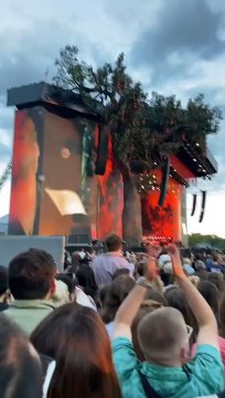 Rappel de ne pas retourner votre appareil photo lors d'un concert - Buzz Buddy