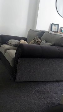 Lapin essaie de se garer hors des meubles - Buzz Buddy