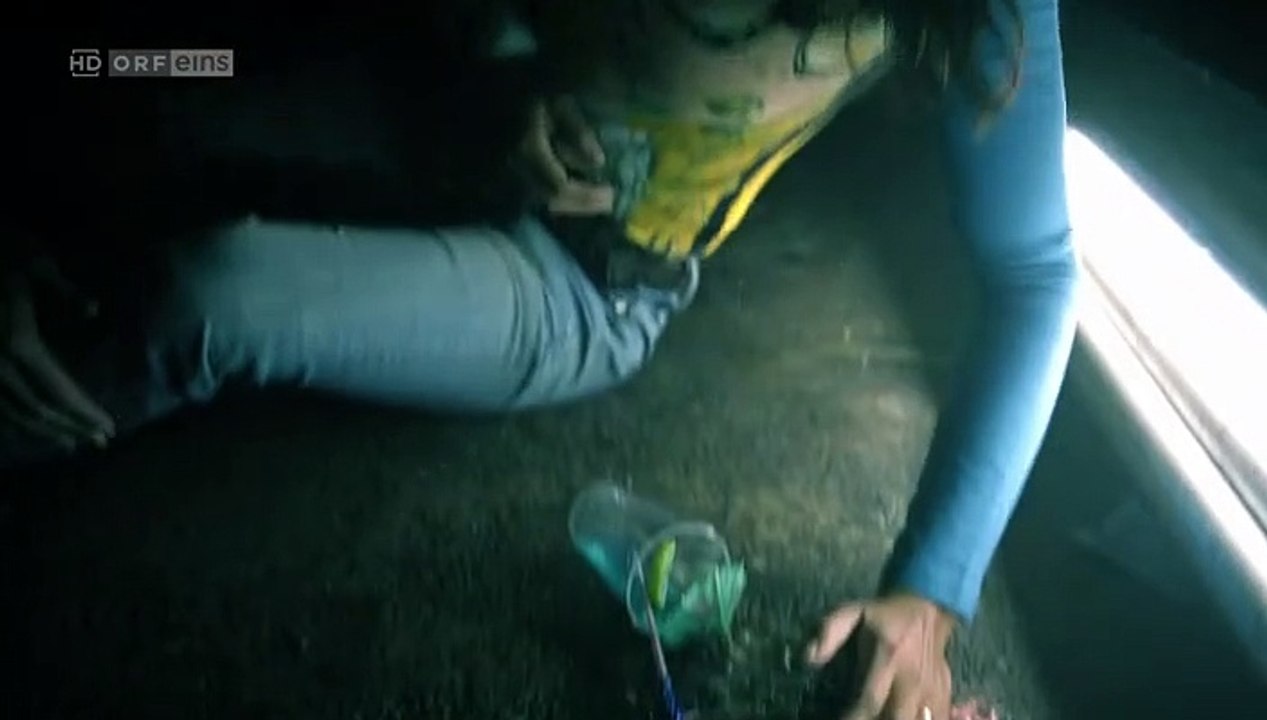 Janus staffel 1 folge 6 hd deutsch