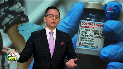 El papa Francisco preside el Vitae Summit en el Vaticano