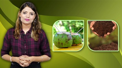 Coconut Leather Fabric और Coconut Peat Soil क्या है,World Coconut Day पर जरूर जाने |*Lifestyle