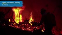 El Amazonas brasileño registra sus peores incendios desde 2010 | EL PAÍS