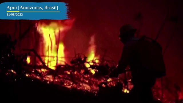 El Amazonas brasileño registra sus peores incendios desde 2010 | EL PAÍS