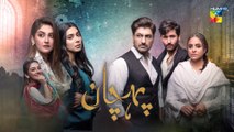 Pehchaan - 2nd Last Episode 25 - [Eng Sub] -1st September 2022 - HUM TV ( Hiba Bukhari - Syed Jibran ) -