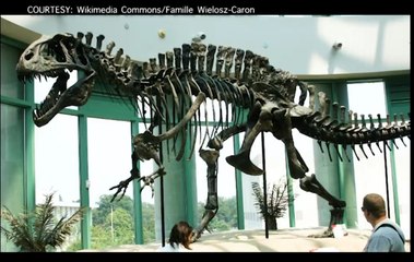 kkan#KuyaKimAnoNa?: 'Di pa nabubuo at posibleng nasa ilalim pa ng tubig ang Pilipinas noong panahong | 24 Oras nabuhay ang mga dinosaur, ayon sa ilang eksperto