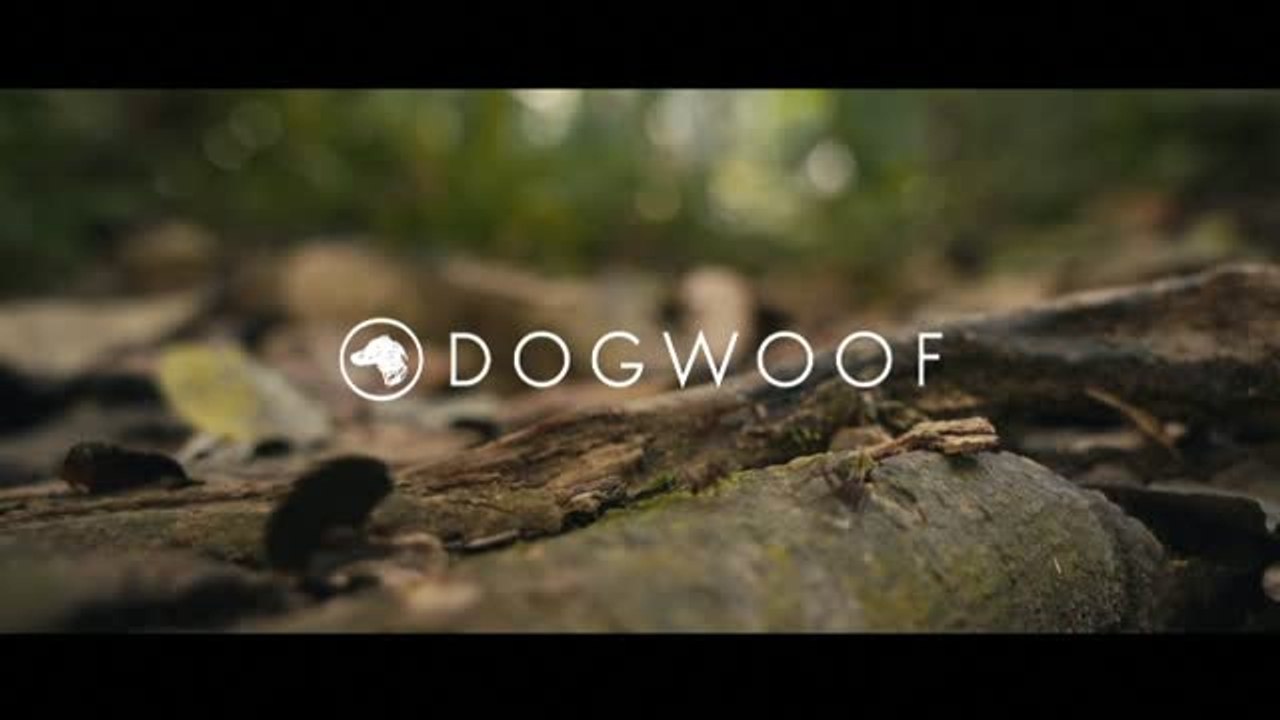 "The territory" nos adentra en los peligros que enfrentan las tribus amazónicas