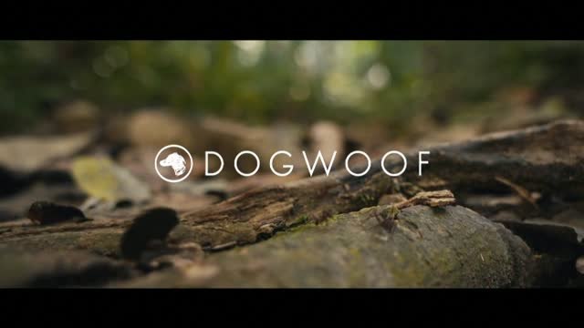 The territory nos adentra en los peligros que enfrentan las tribus amazónicas