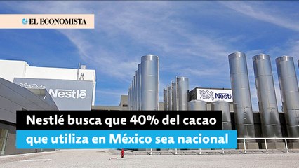 Nestlé busca que 40% del cacao que utiliza en México sea nacional