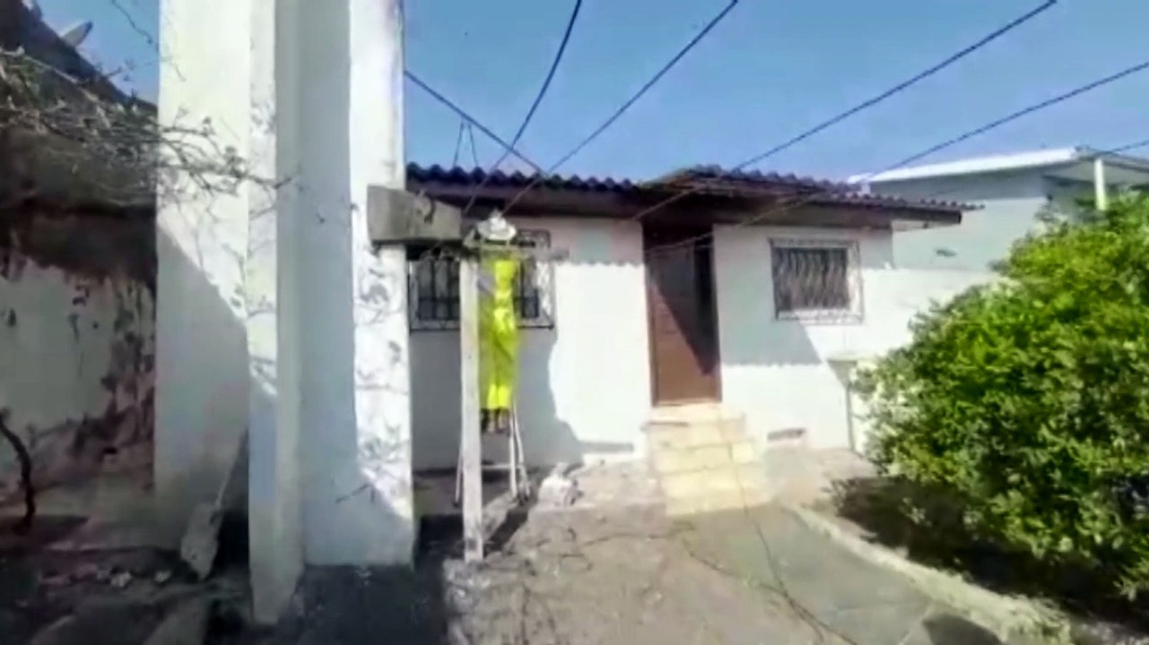 Defesa Civil retira enxame de abelhas no Bairro Brasília