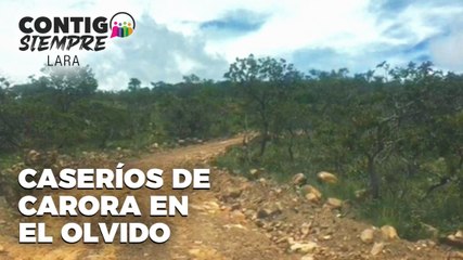 Caserios de Carora en el olvido - Contigo Siempre