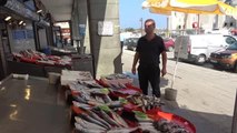 Trabzon ekonomi haberi | Trabzon'da yeni balık av sezonunun ilk günü palamutta beklenti gerçekleşmedi