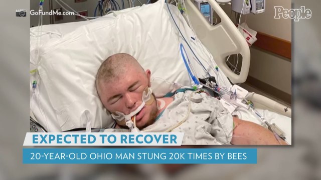 20-Year-Old Ohio Man Expected to Recover After Being Stung 20,000 Times by Bees, Family Says