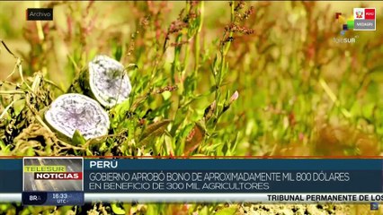 teleSUR 15:30 01-09: Chile culmina campaña por plebiscito