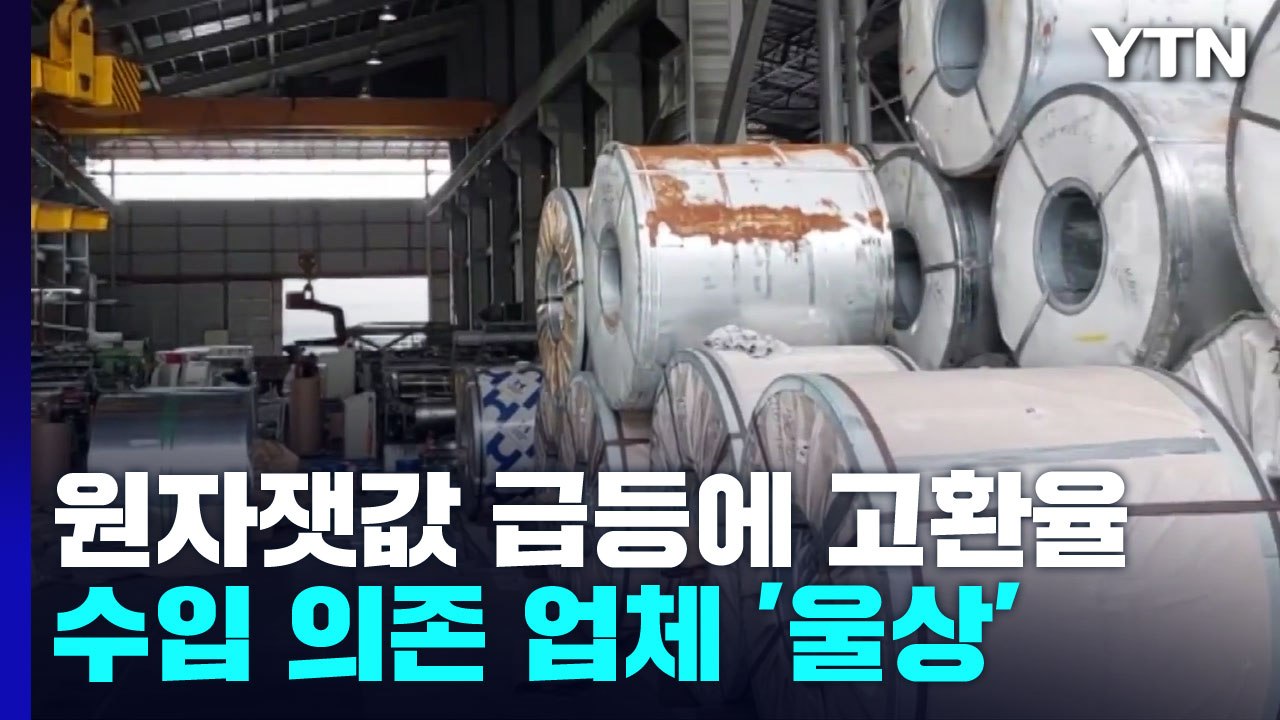 원자잿값 급등에 고환율까지...수입 의존 업체 '울상' / YTN