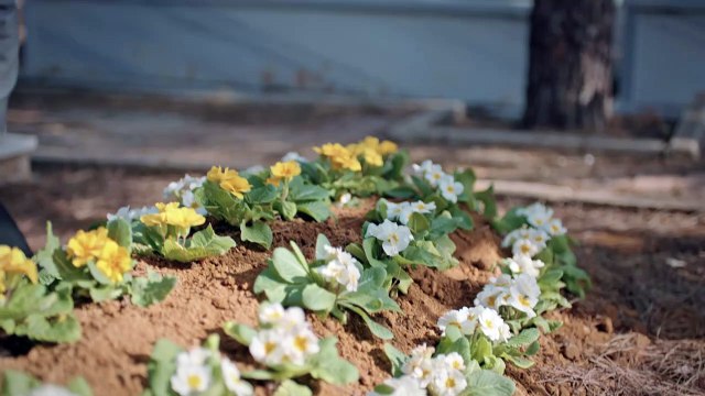 Flames of Fate Hindi Dubbed Season 1 Episode 44 | Turkish Drama Alev Alev