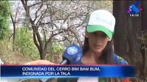Guayaquil Oculto: Tala de árboles en el Cerro Bim Bam Bum
