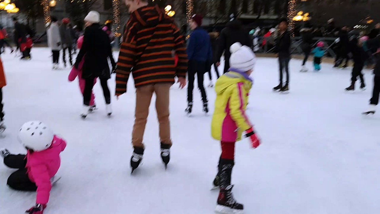 Eislauf 20161230_142832