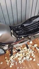 Left At Home Doggo Destroys Motorcycle Seat