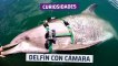 Delfín con cámara