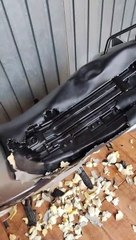 Left At Home Doggo Destroys Motorcycle Seat