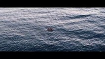 THE SWIMMERS Trailer (2022) Matthias Schweighöfer