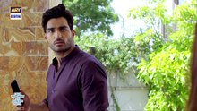 Mere Humsafar Episode 6    (English Subtitles) 3rd Feb 2022