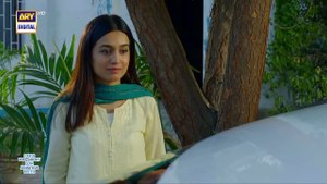 Mere HumSafar Episode 19   - 12th May 2022