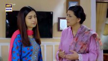 Mere Humsafar Episode 24    (English Subtitles)   16th June 2022