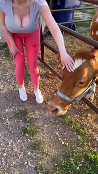 Horse  suck girl 