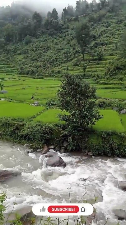UTTARAKHANDI_VIEW