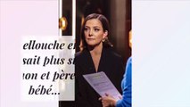 Camille Lellouche en couple : on en sait plus sur son compagnon et père de son bébé...