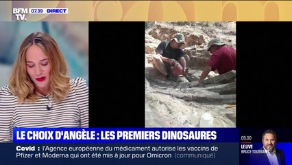 Le choix d'Angèle - Le propriétaire d'une maison découvre des ossements de dinosaures dans son jardin