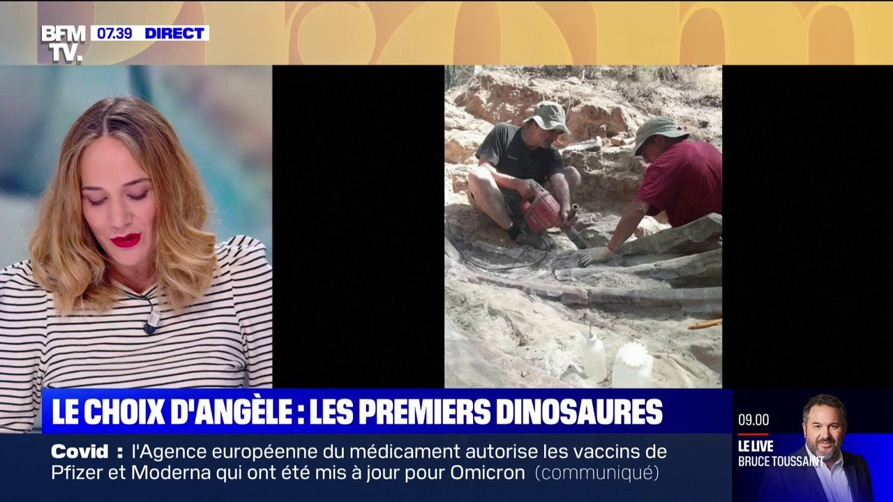 Le choix d'Angèle - Le propriétaire d'une maison découvre des ossements de dinosaures dans son jardin