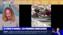 Le choix d'Angèle - Le propriétaire d'une maison découvre des ossements de dinosaures dans son jardin