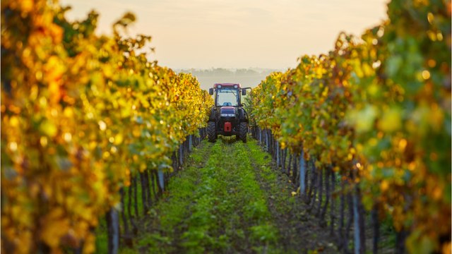 Un bébé de 3 mois décède écrasé par un tracteur dans les vignes, une enquête ouverte
