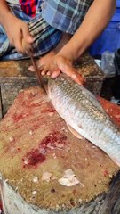 Superb Cutting Skills _ Amazing Mrigal Fish Cutting Skills Like a Boos