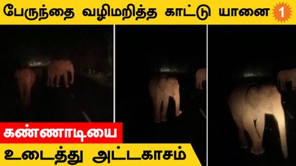 Elephant Video | பேருந்தை வழிமறித்து கண்ணாடியை உடைத்த யானை