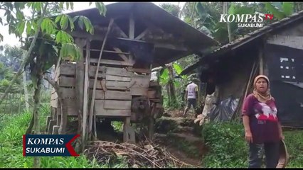 Sejumlah Kambing Berserakan Mati Disembelih Dan Dicuri