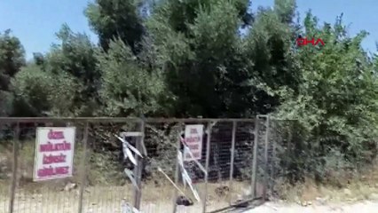 Zehra Bayır cinayeti: Zanlı İlter'in tişörtünde kan izi bulundu