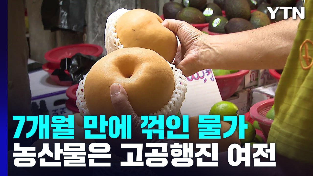 7개월 만에 물가 상승세 한 풀 꺾여..."상당기간 5∼6%대" / YTN