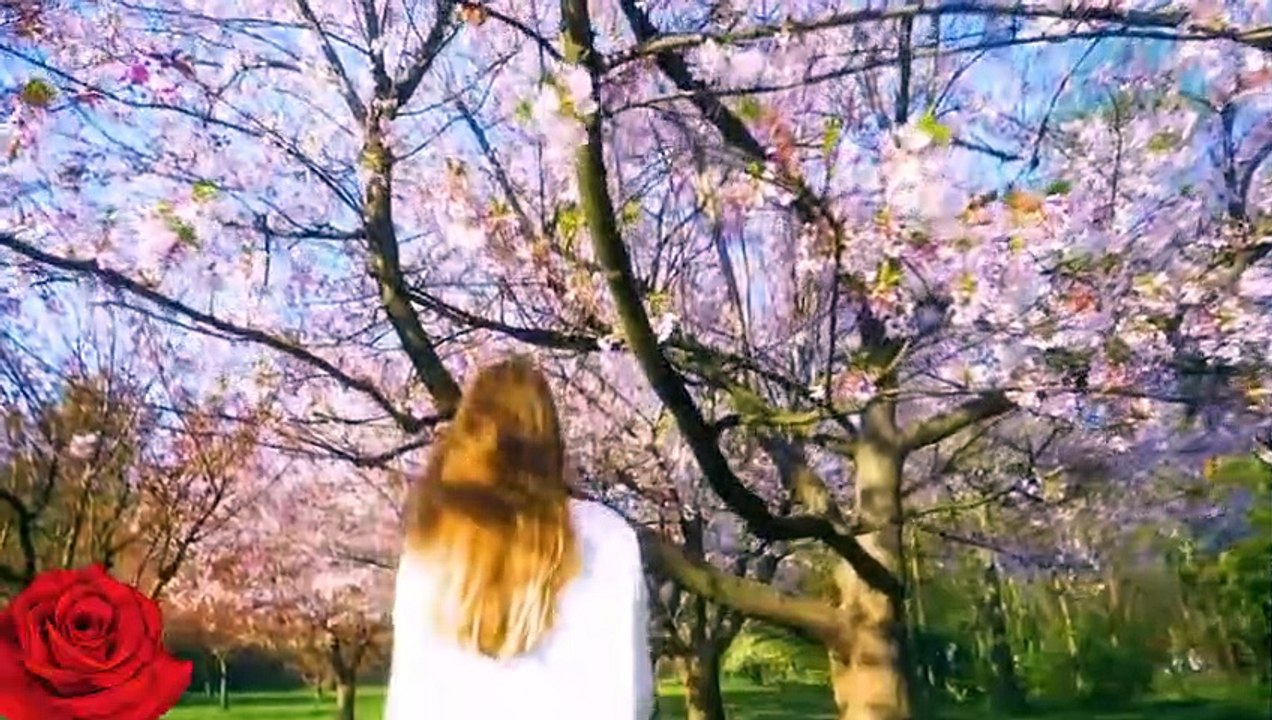 Win The Morning | WIN THE DAY | Listen Every Day! Smoothing Music| 2022