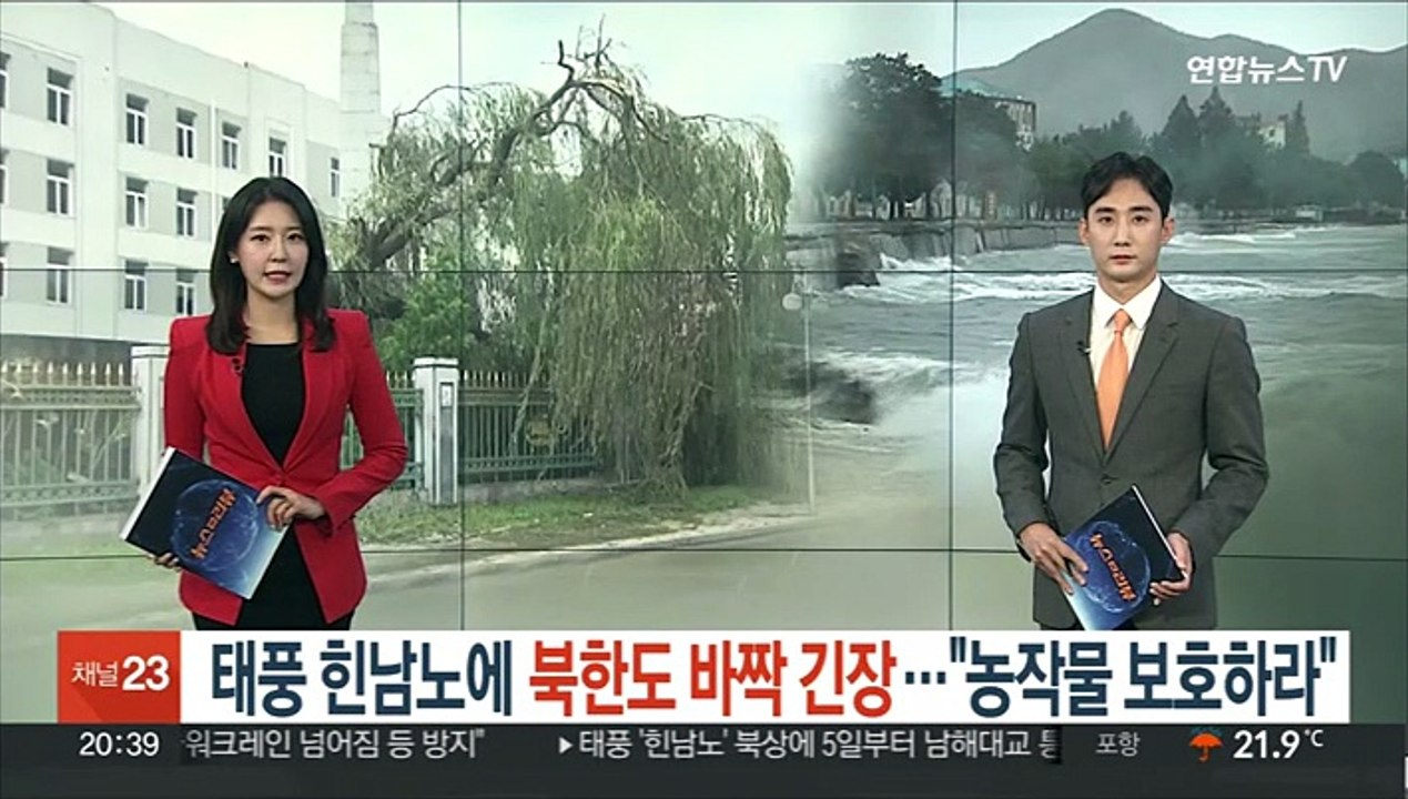 북한도 태풍 '힌남노'에 바짝 긴장…"농작물 보호에 결사 노력"