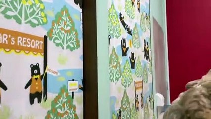 母の顔をペロペロし続けるアメリカンコッカースパニエル