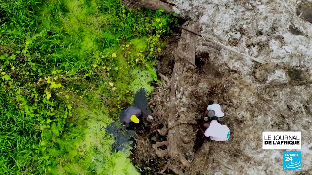 Nigeria : redonner une seconde vie aux arbres abimés