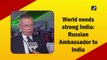World needs strong India: Russian Ambassador to India