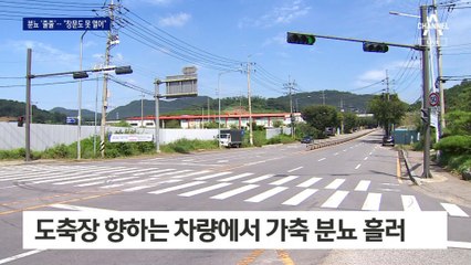 몇 년째 도로 위 가축 분뇨 ‘줄줄’…“창문도 못 열어”