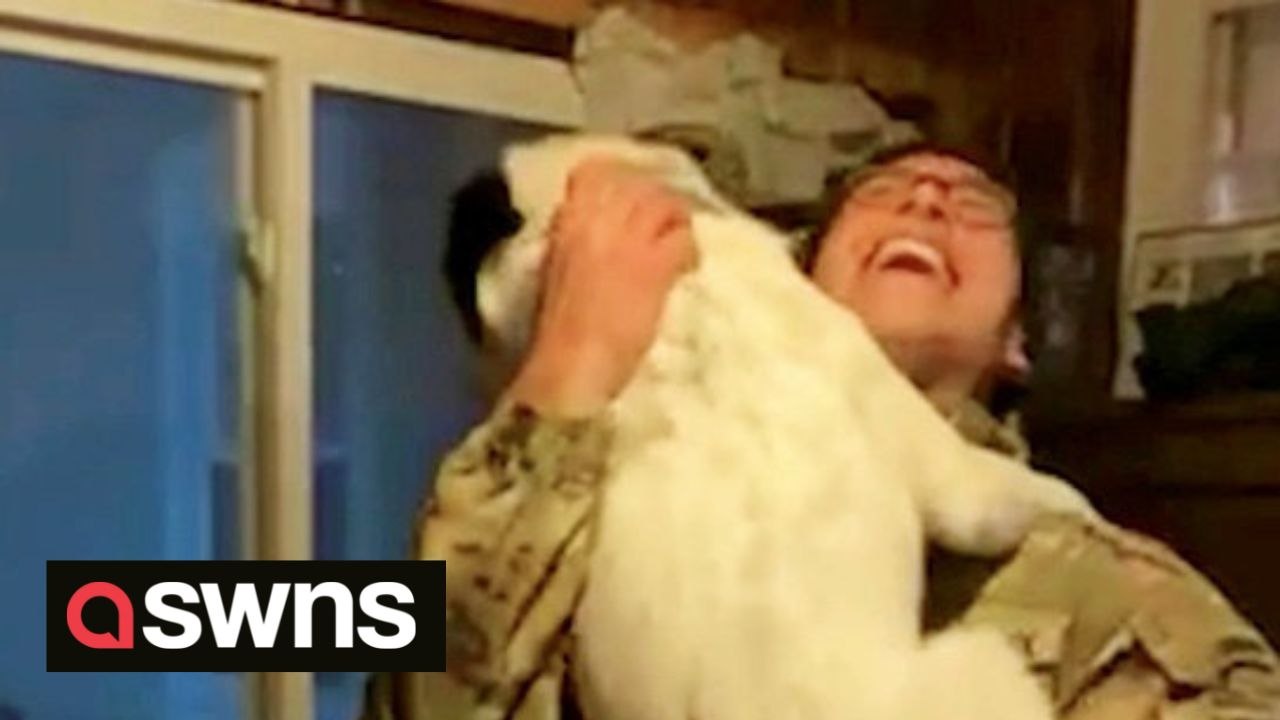 Heartwarming moment US soldier is reunited with beloved dog after 10 ...